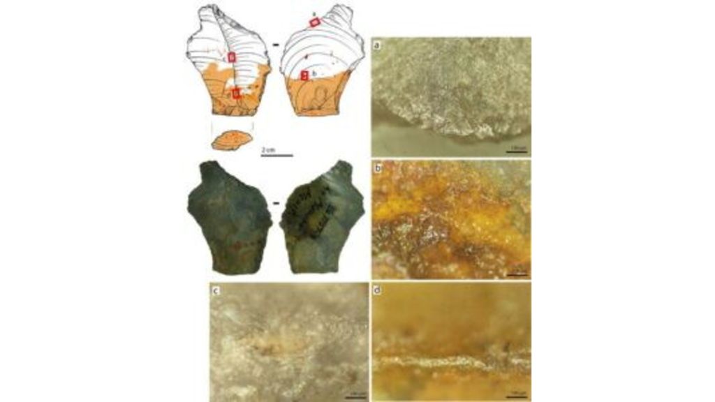 Micrografie che mostrano le tracce di usura su un utensile utilizzato dall’uomo di Neanderthal nel Paleolitico medio