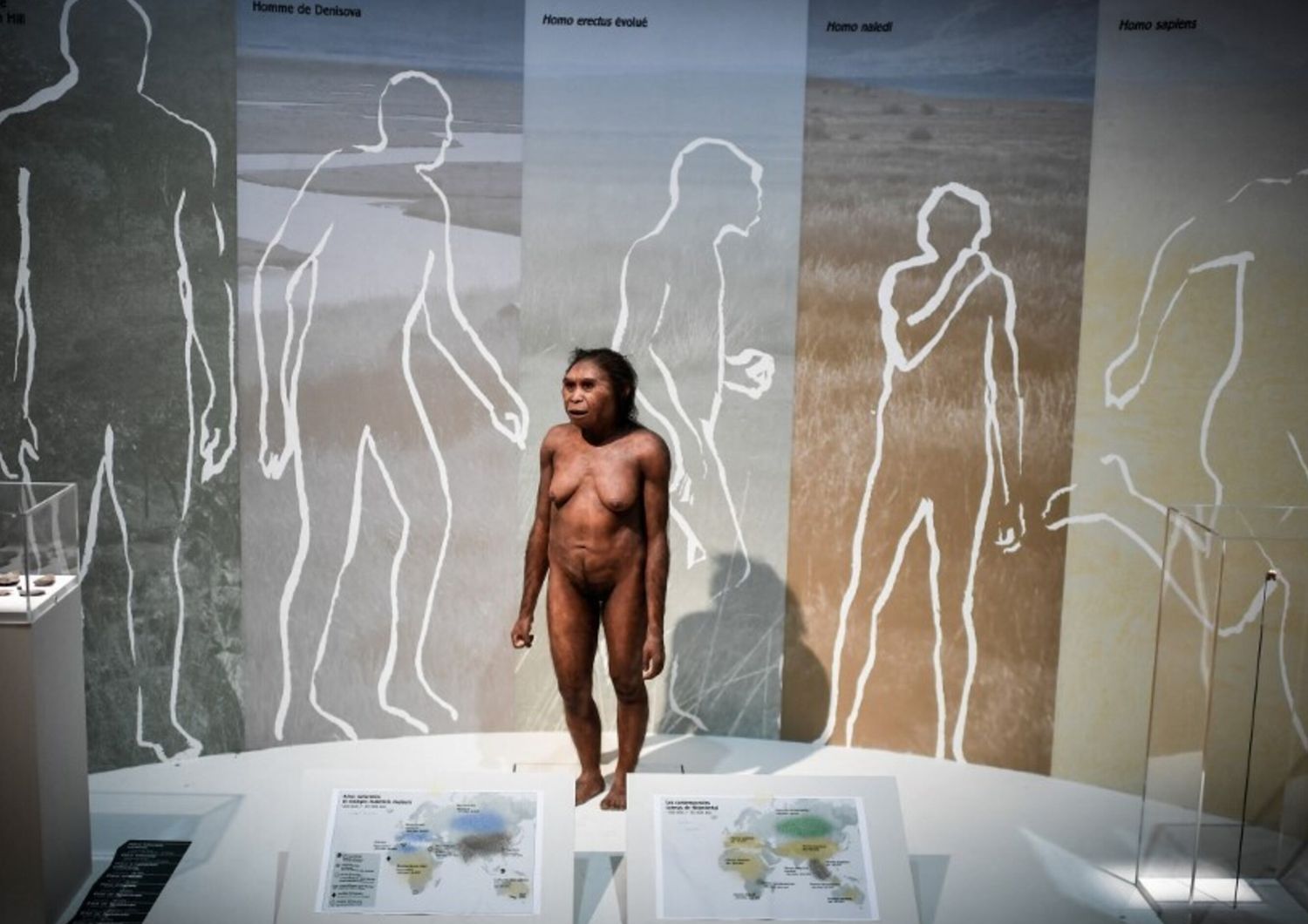 neanderthal usavano colla