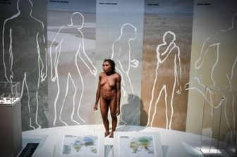 neanderthal usavano colla