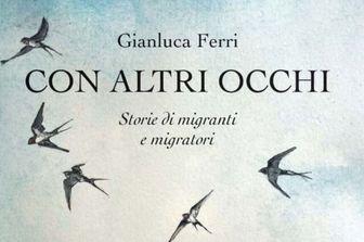 La copertina del libro di Gianluca Ferri