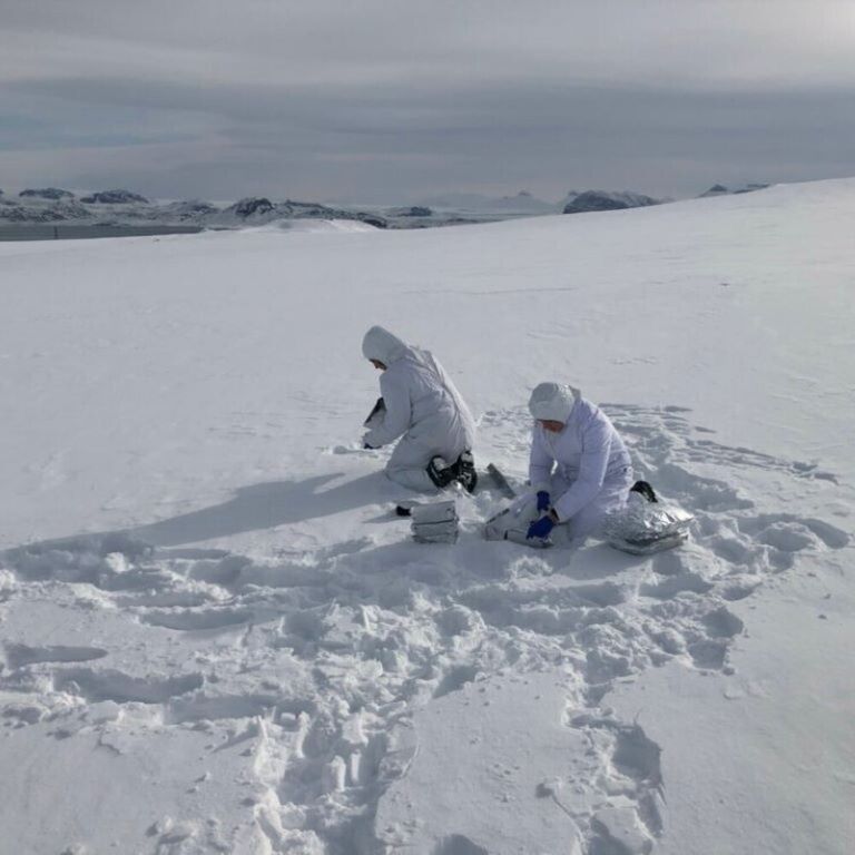 Attività di campionamento di neve a Ny-Ålesund, Isole Svalbard