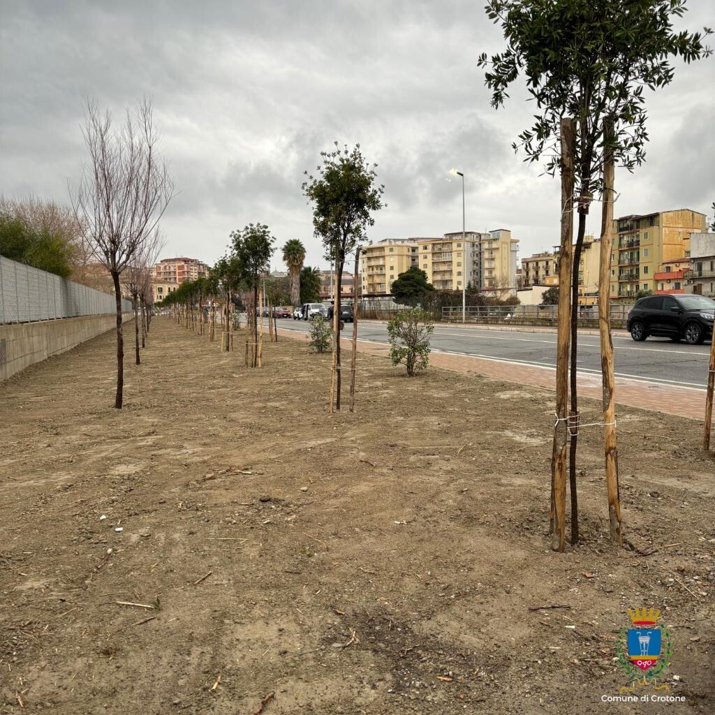 Gli alberi piantumati nel Giardino di Alì a Crotone