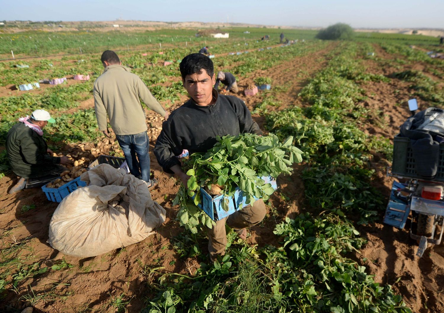agromafie caporalato (agf)