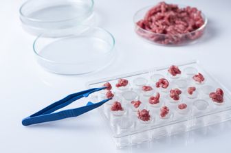 Carne Ogm (elaborazione artistica)