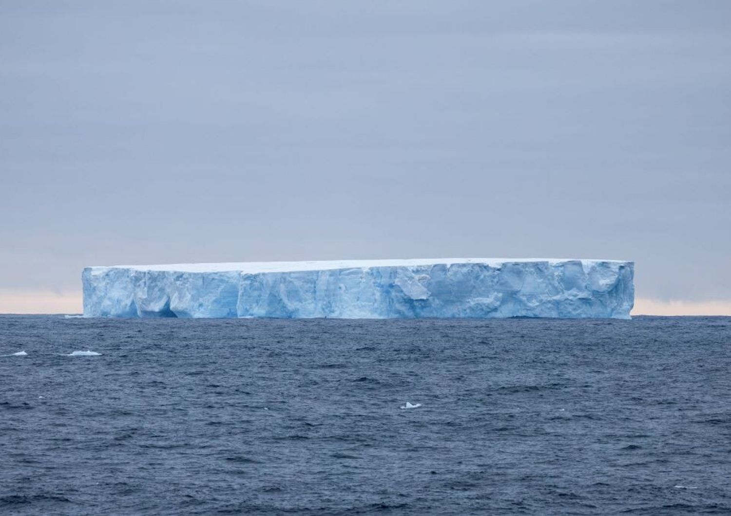 Il più grande iceberg del mondo che si trova ai confini dell'Atlantico