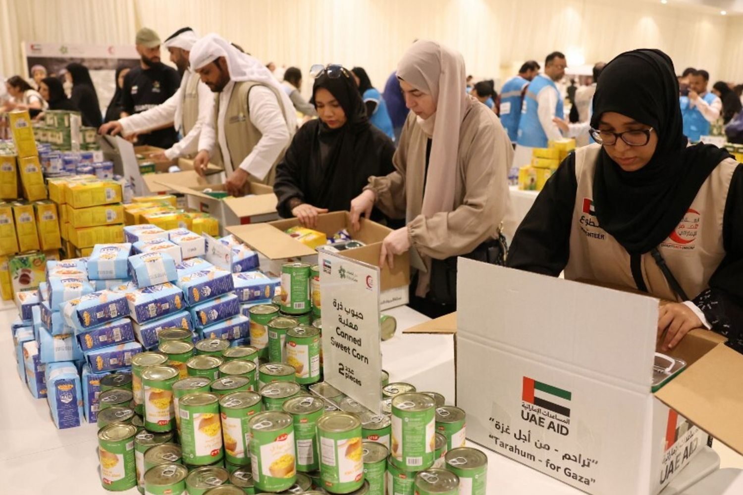 Aiuti per la Striscia di Gaza