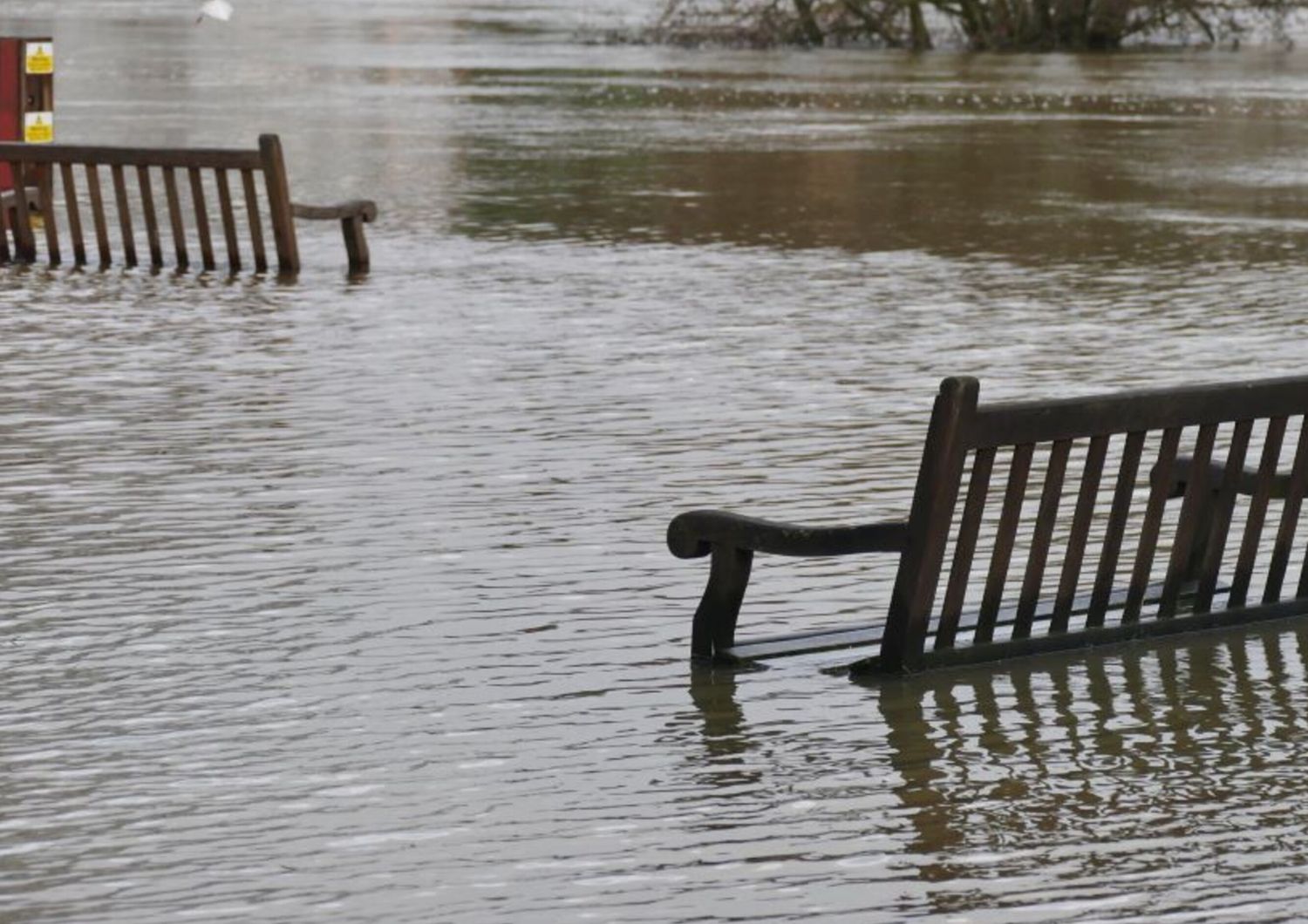 scienza una persona su 50 negli usa rischia significative inondazioni