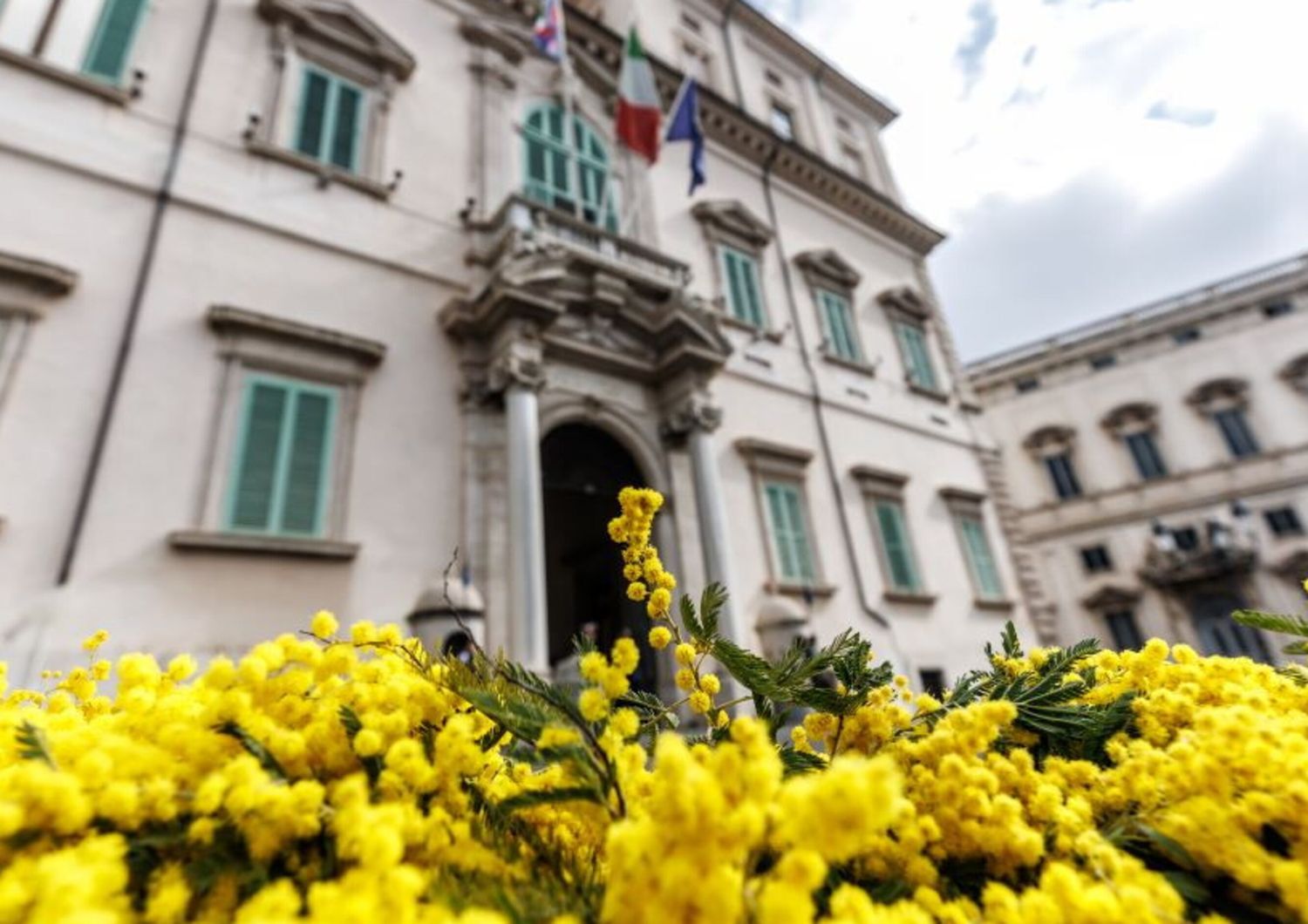 8 marzo festa della donna fiorai mimose