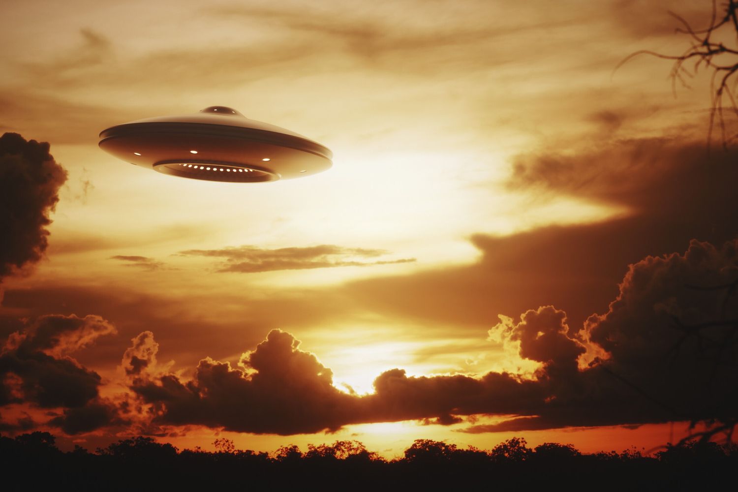 &nbsp;La ricostruzione grafica di un Ufo