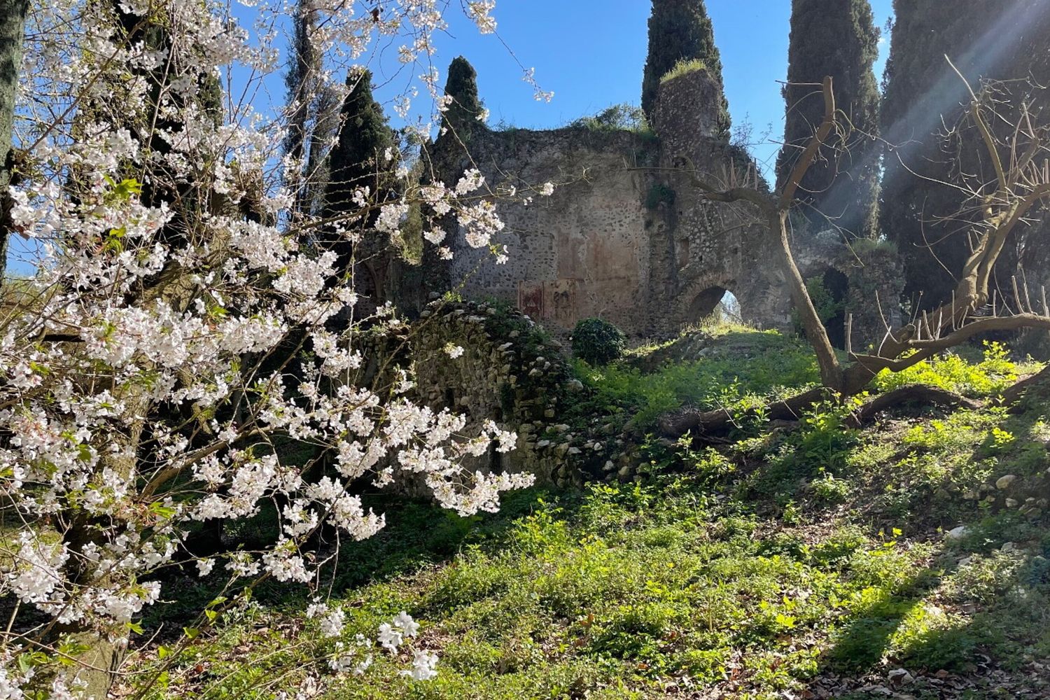 Il Giardino di Ninfa