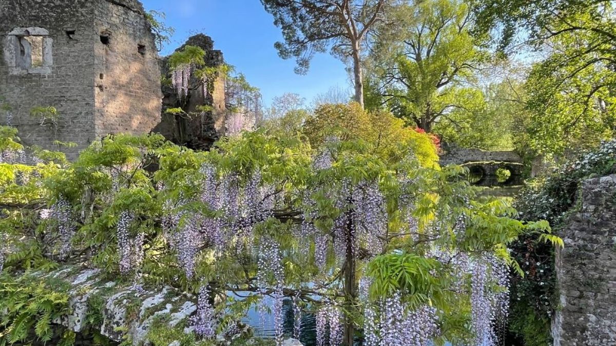 Il Giardino di Ninfa
