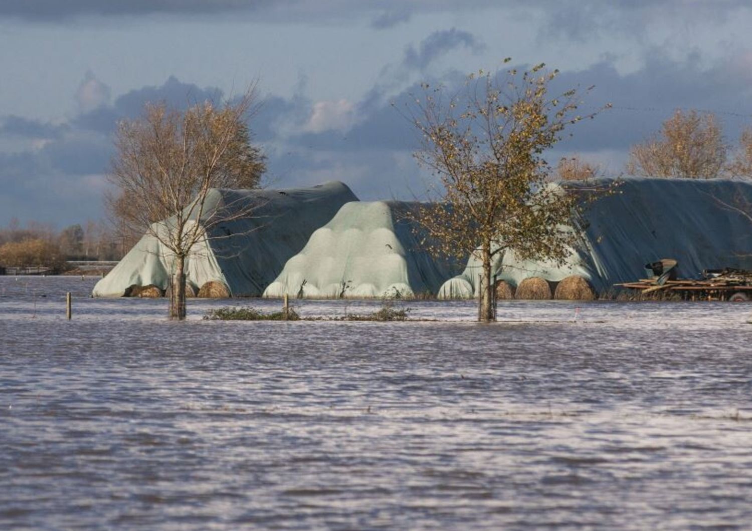 Campi e fattorie sommersi dall'acqua nella Fiandre Occidentali, novembre 2023