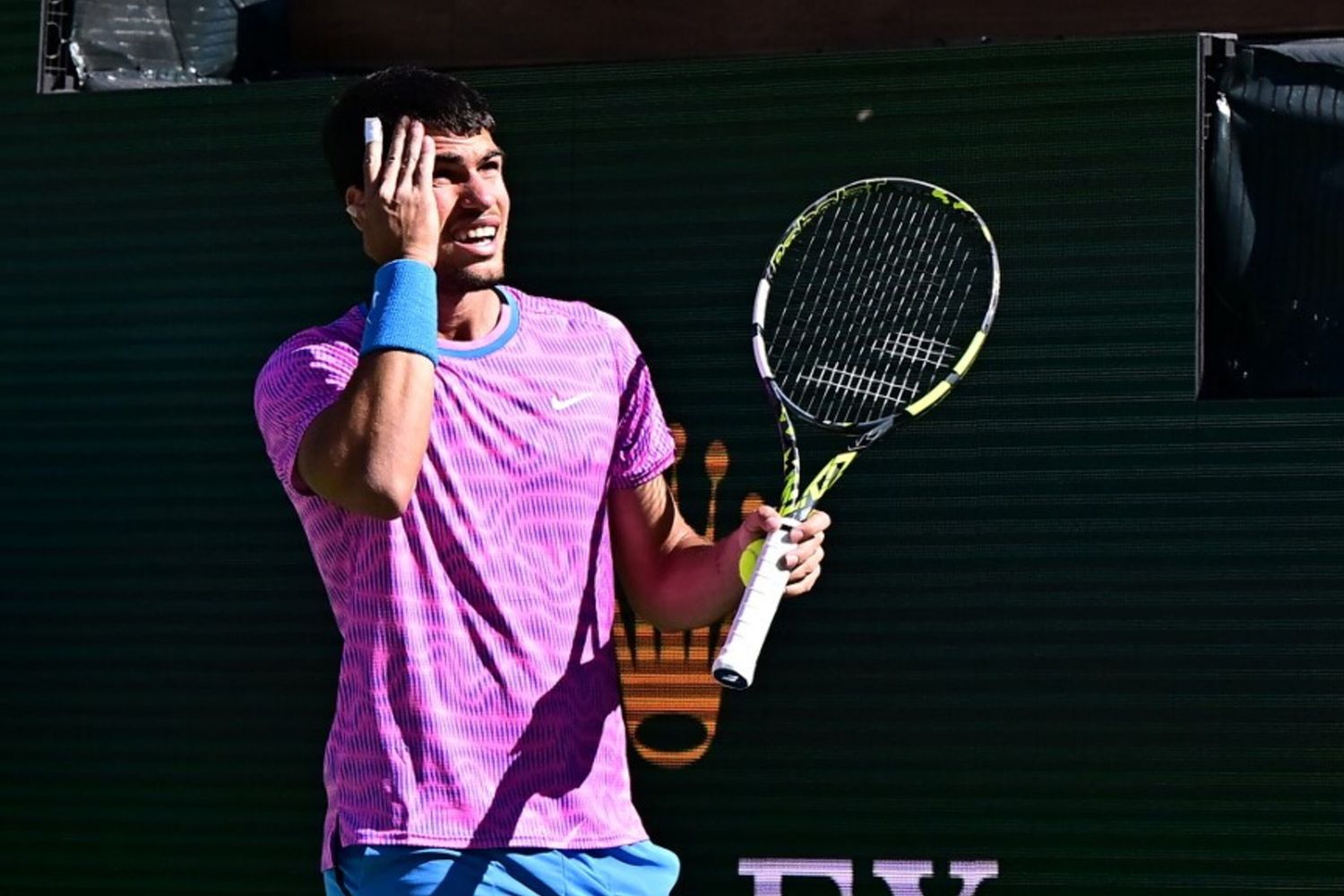 Alcaraz alle prese con uno sciame di api durante il match con Zverev