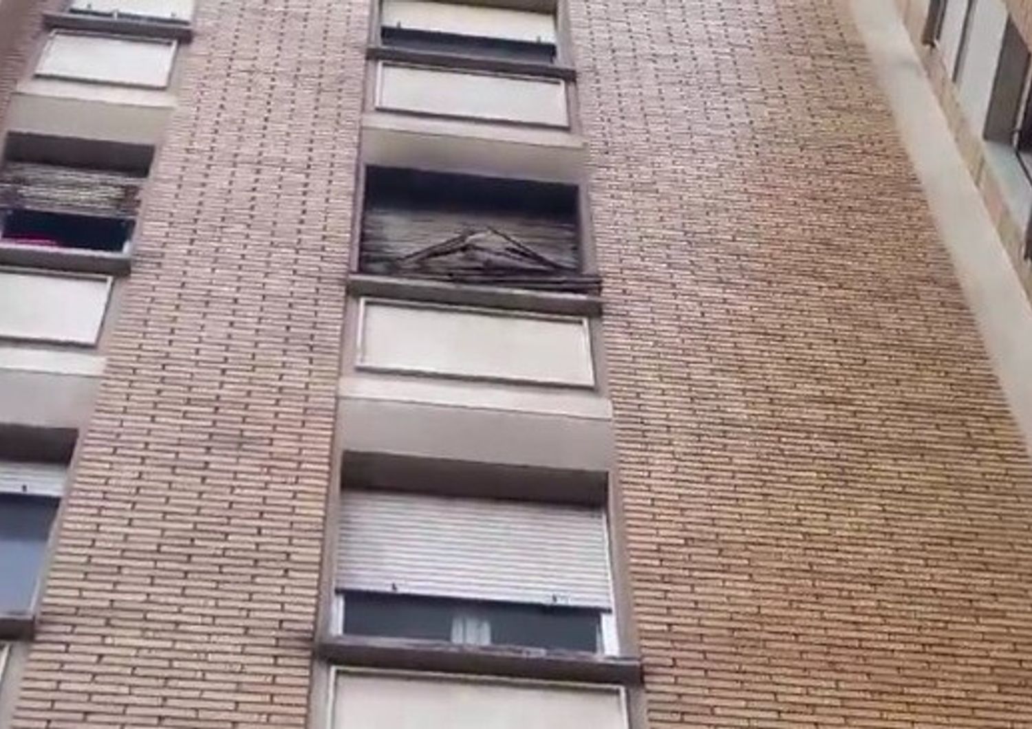 incendio appartamento bologna bambini morti