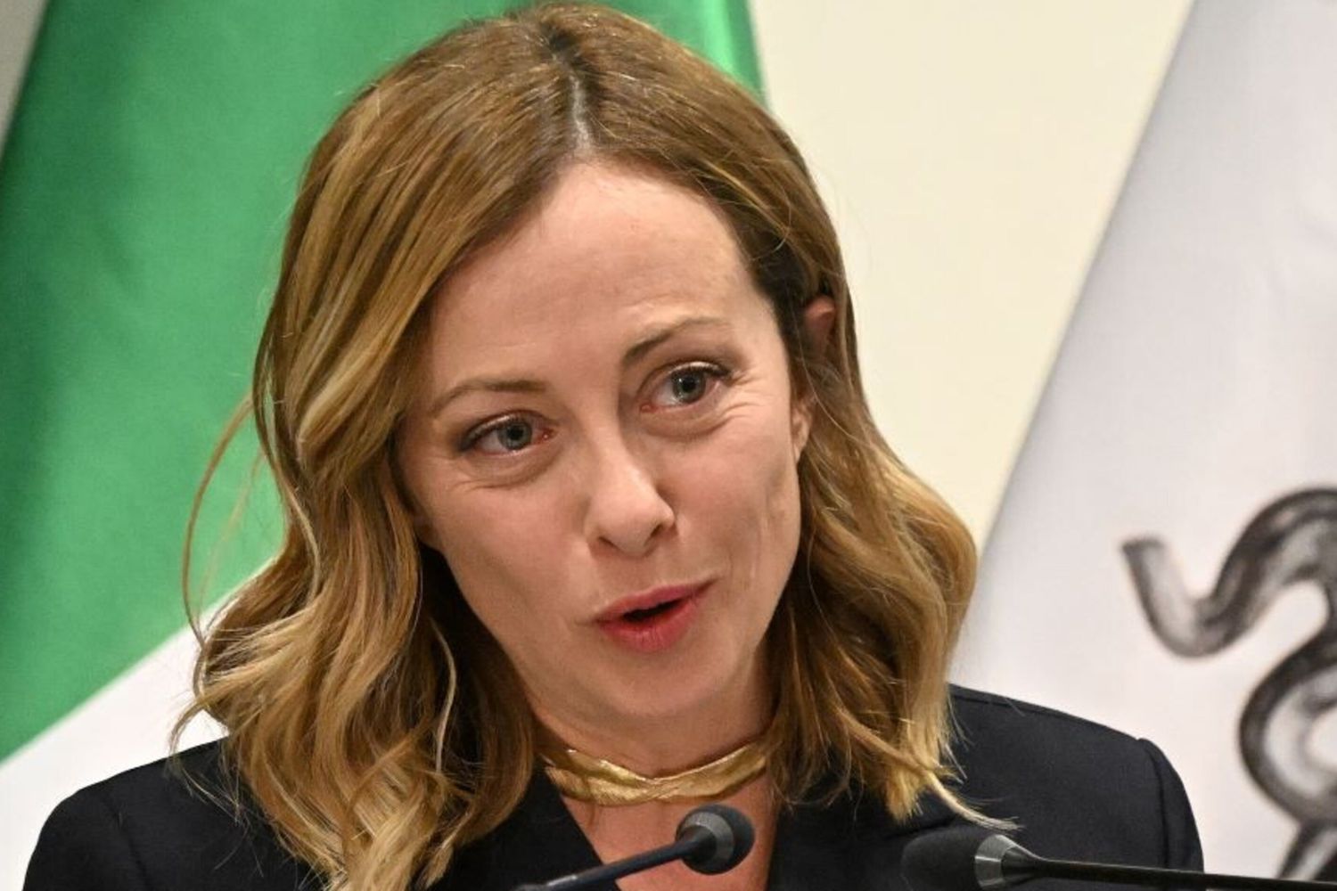 La premier Giorgia Meloni