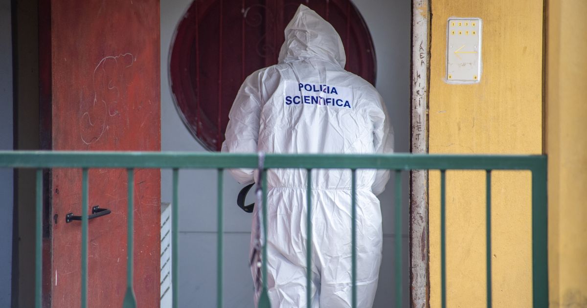 Duplice omicidio in casa a Bologna. Un uomo sgozzato, l