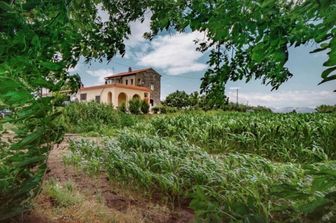 La tenuta della famiglia Galdiero