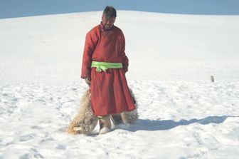 I danni dello ‘dzud’ in Mongolia
