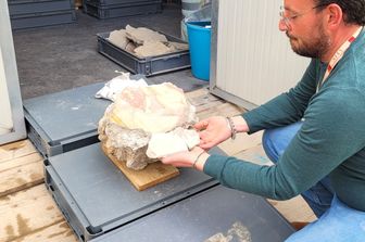 Frammenti di affresco dei crolli del tablino Regio IX