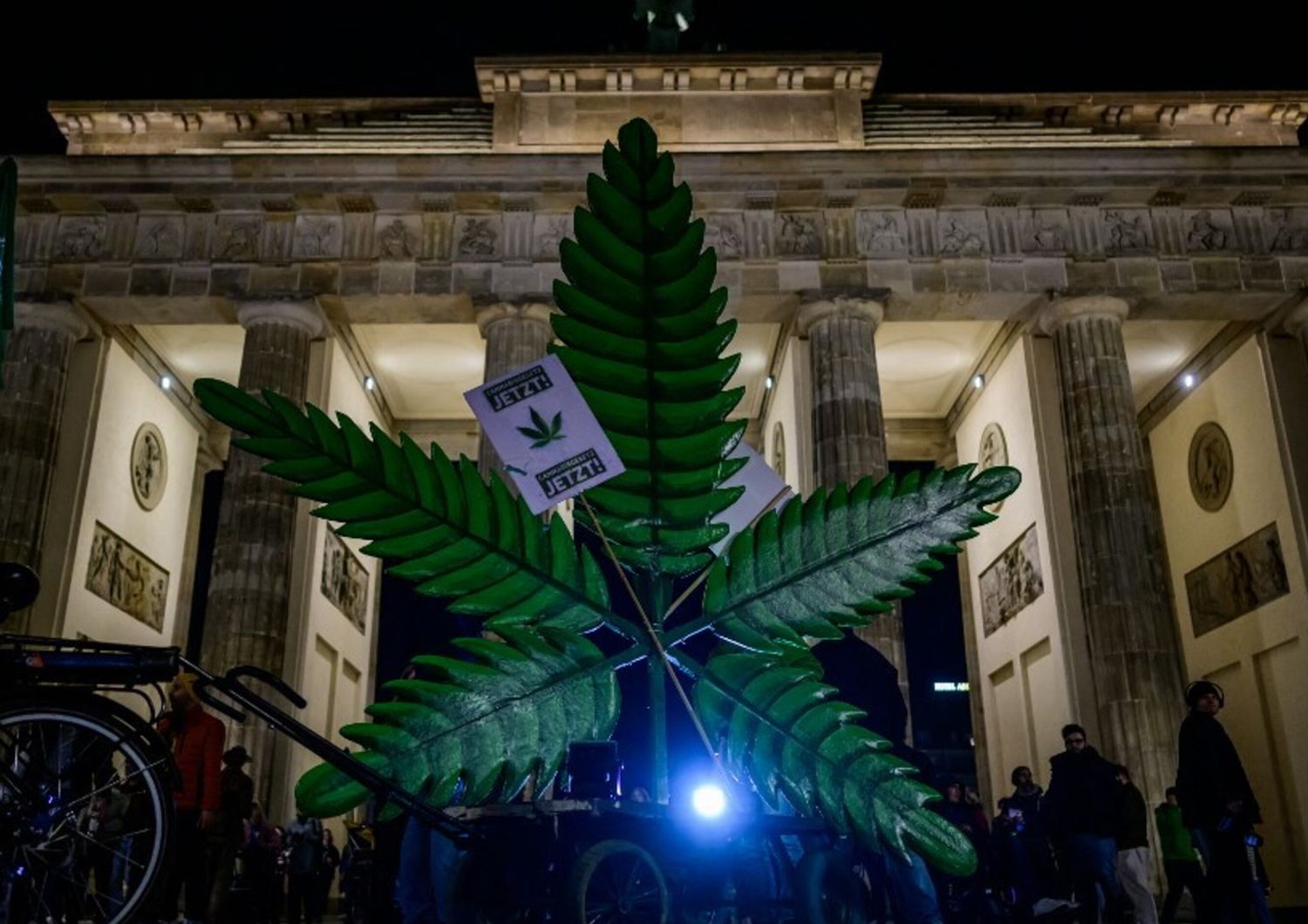 Una gigantesca pianta finta di marijuana posizionata davanti alla Porta di Brandeburgo di Berlino per celebrare l'evento che segna l'attuazione da oggi in Germania della legge che consente agli adulti di portare con sé fino a 25 grammi di cannabis essiccata e di coltivare fino a tre piante di marijuana a casa