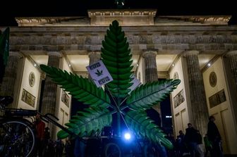 Una gigantesca pianta finta di marijuana posizionata davanti alla Porta di Brandeburgo di Berlino per celebrare l'evento che segna l'attuazione da oggi in Germania della legge che consente agli adulti di portare con sé fino a 25 grammi di cannabis essiccata e di coltivare fino a tre piante di marijuana a casa
