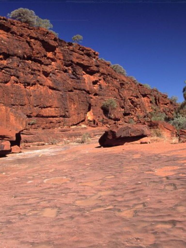 Australia, Northern Territory, Finke river, Palm valley, in the bush