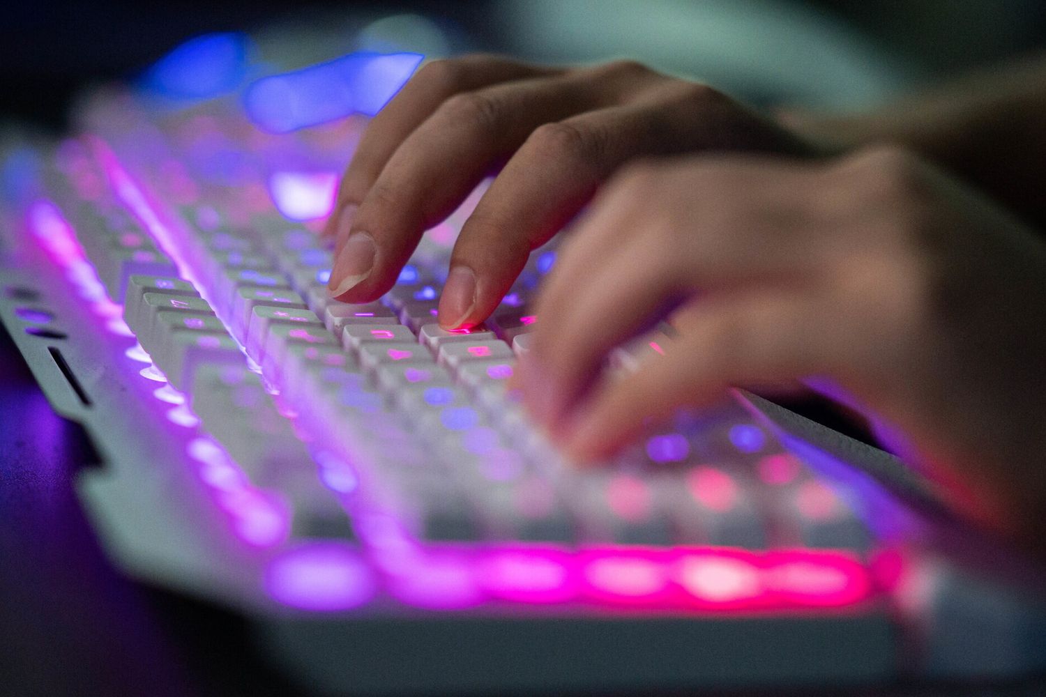 web, computer online