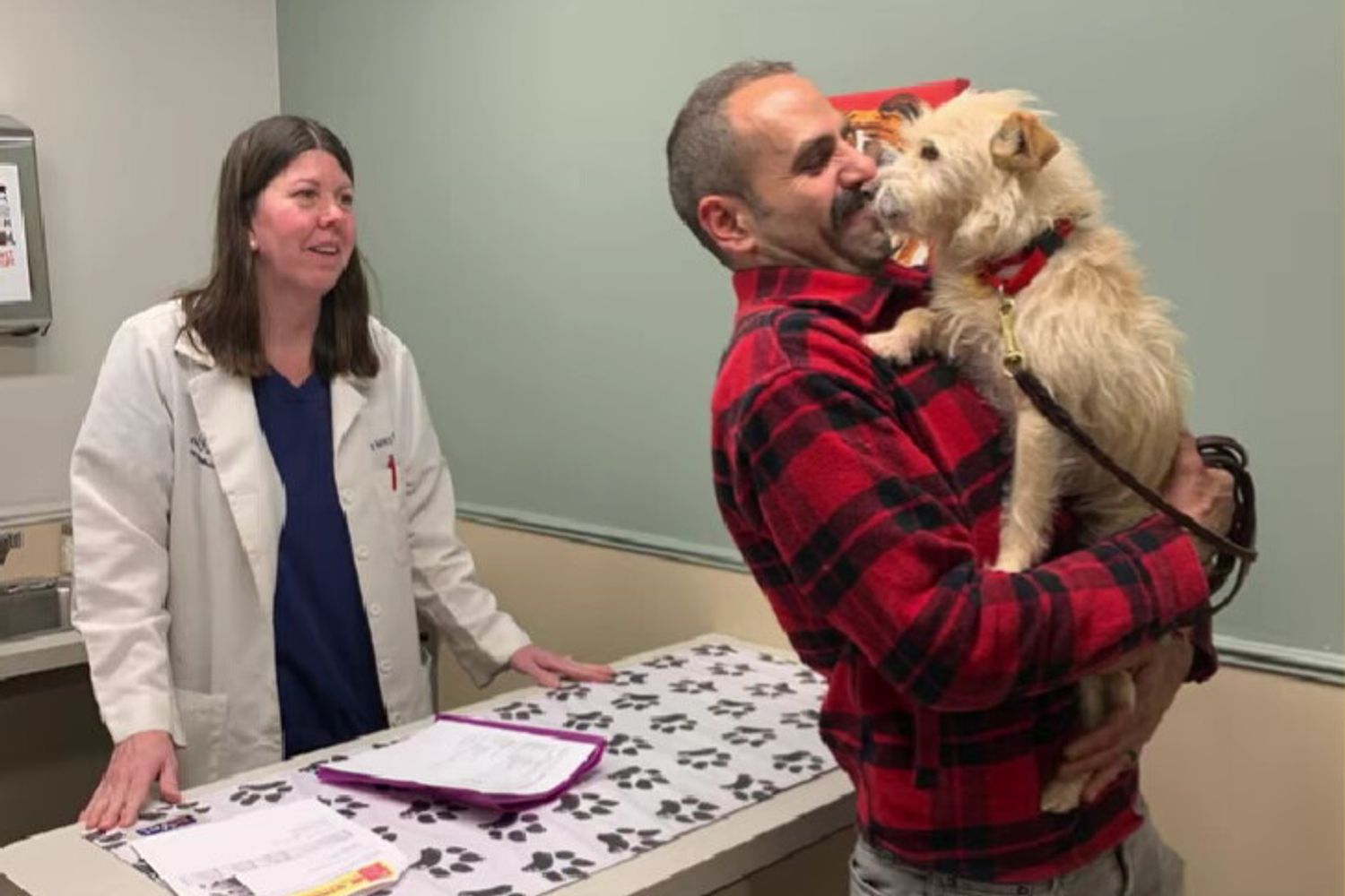 La riconsegna del cane Mishka