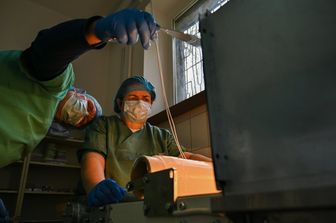 creazione ovaie artificiali in laboratorio