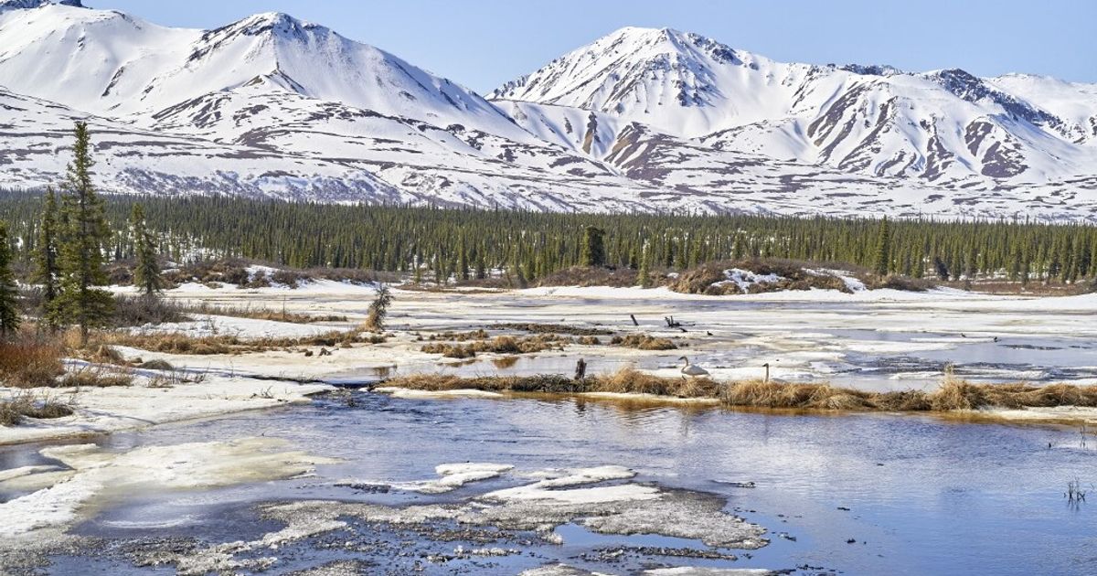 バイデン氏：私たちはアラスカと自然の美しさを守り続ける