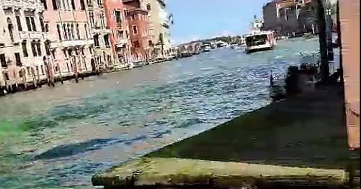 Venezia: il Canal Grande si tinge di verde. Nuovo blitz degli ambientalisti