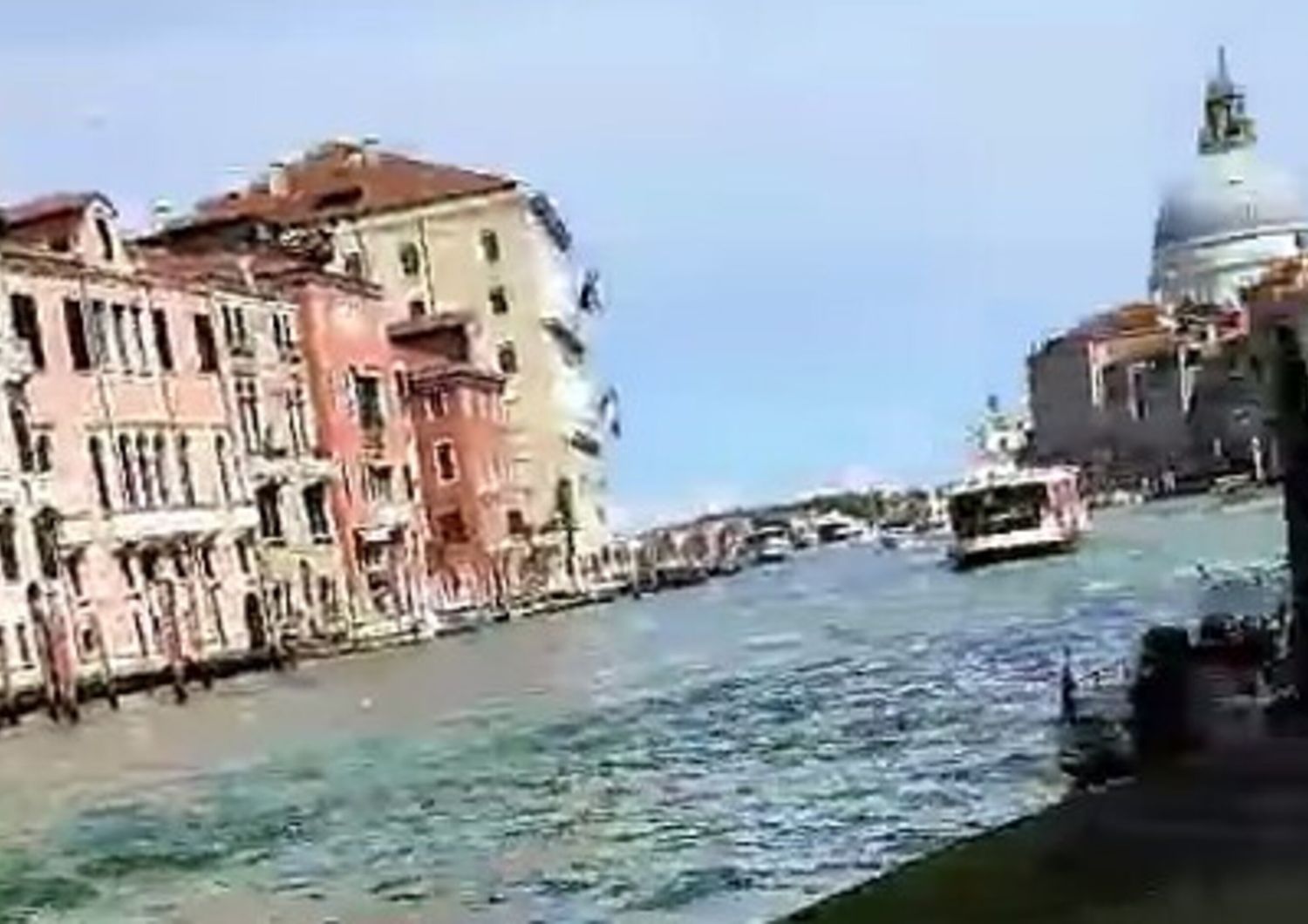 attivisti per il clima colorano di verde canal grande venezia