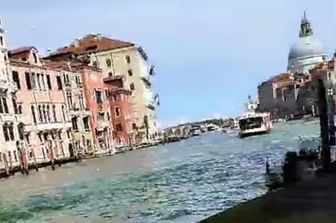 attivisti per il clima colorano di verde canal grande venezia