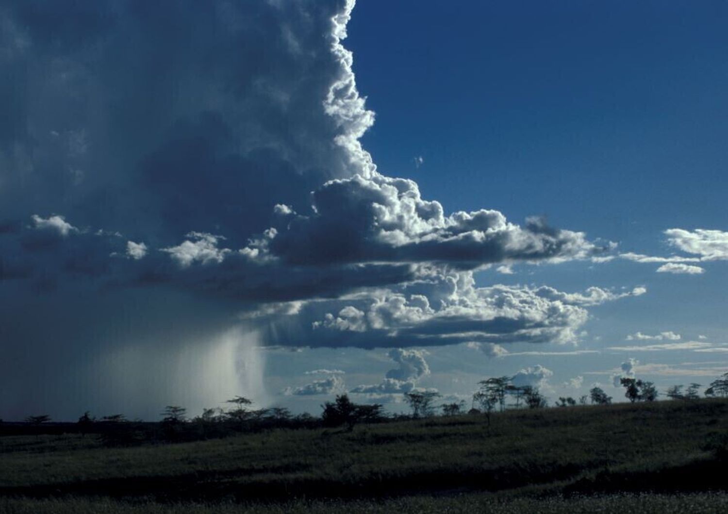 Meteo, pioggia