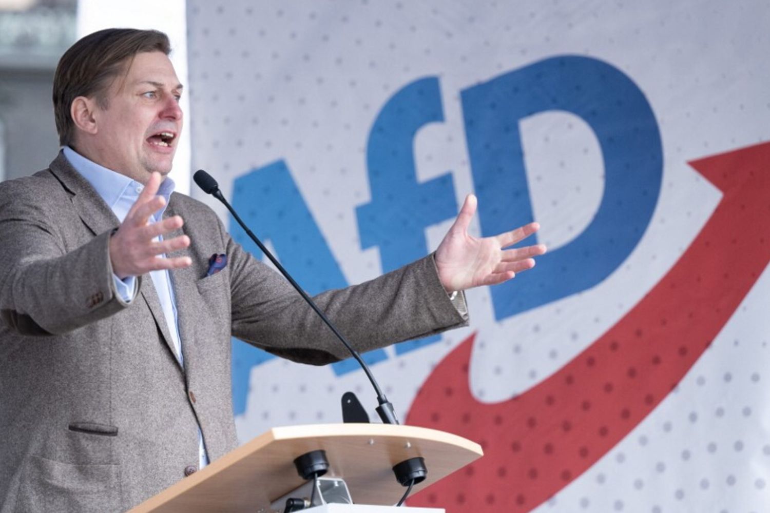 Il candidato dell'Afd Maximilian Krah