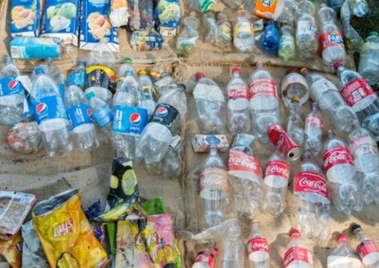 Rifiuti di plastica con marchio delle due principali aziende inquinanti The Coca-Cola Company e PepsiCo raccolti da volontari ucraini nel 2020