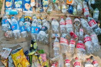 Rifiuti di plastica con marchio delle due principali aziende inquinanti The Coca-Cola Company e PepsiCo raccolti da volontari ucraini nel 2020
