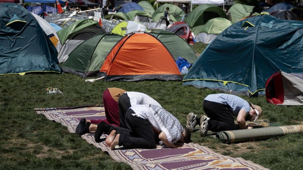 Accampamento e tende alla Columbia in sostegno alla Palestina