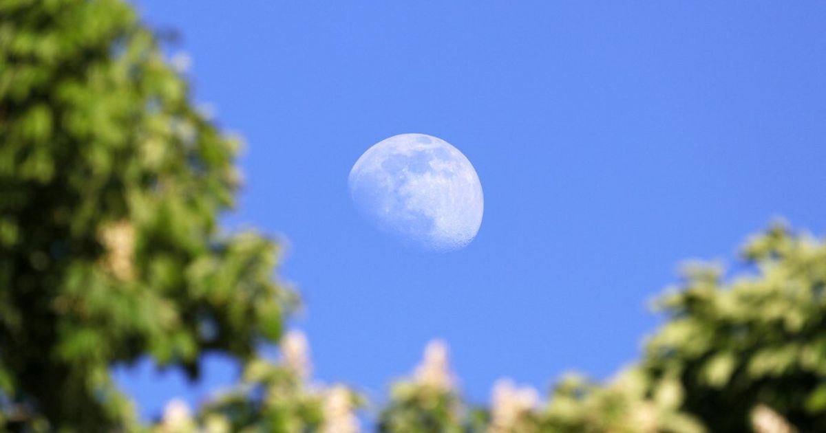 5月は良い天気で始まりましたが、明日からは天気が悪くなります