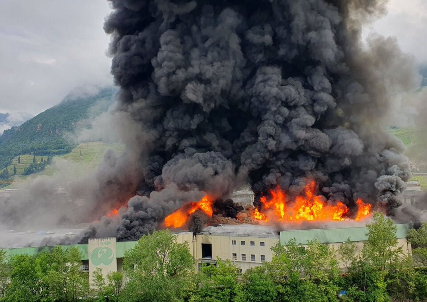 Le fiamme scoppiate a Bolzano