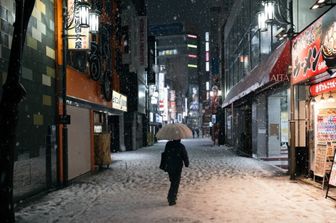 Neve a Tokyo, febbraio 2024