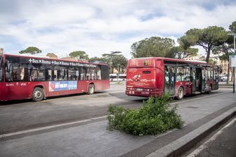 Autobus Atac