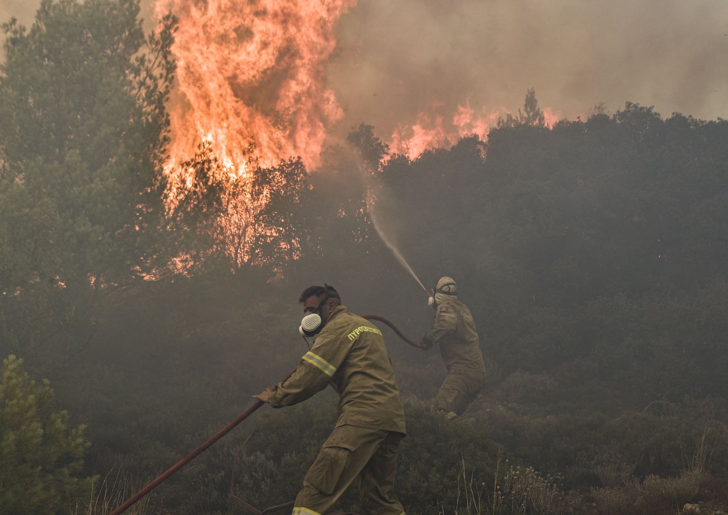 Vigili del fuoco combattono con un incendio in Grecia