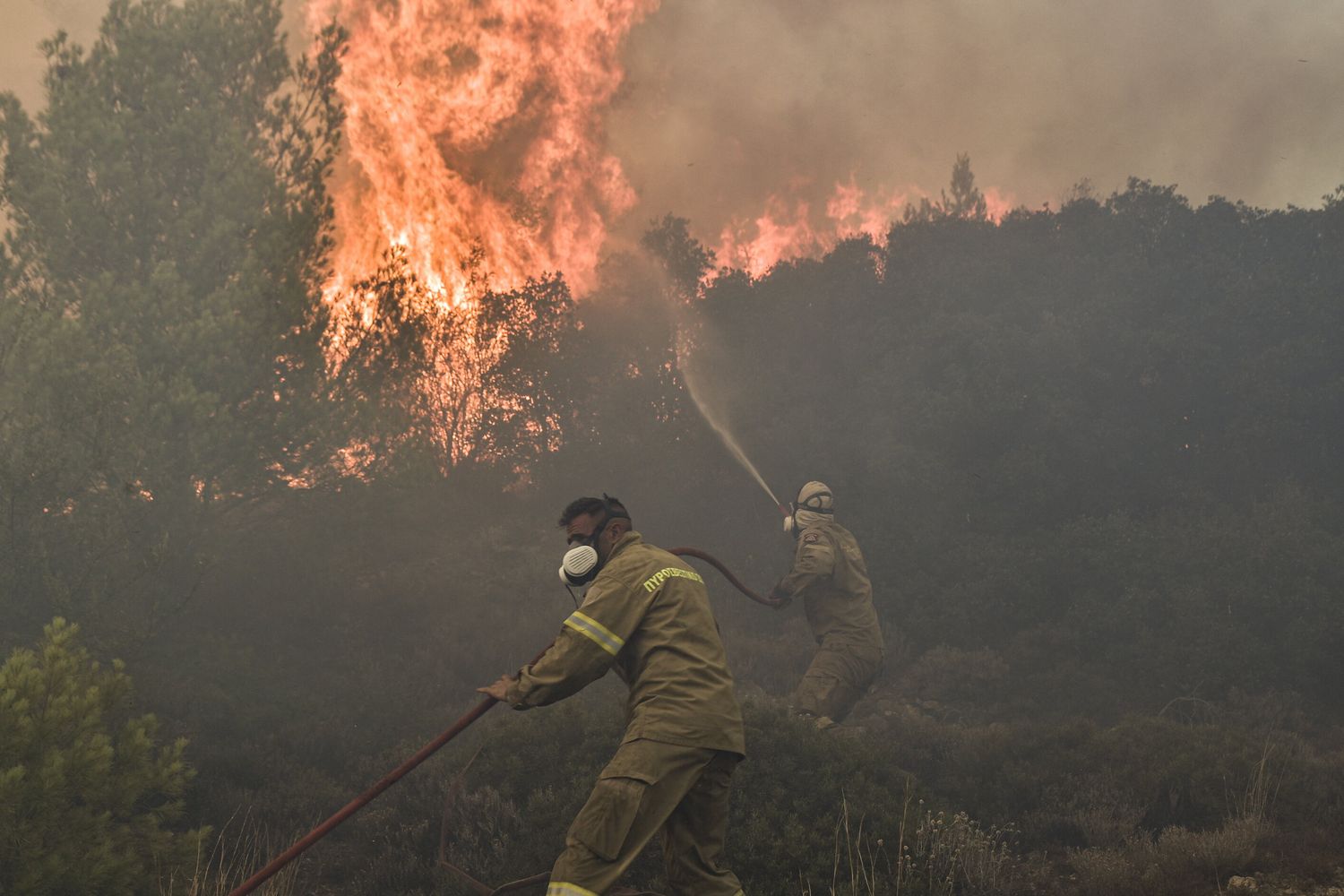 Vigili del fuoco combattono con un incendio in Grecia