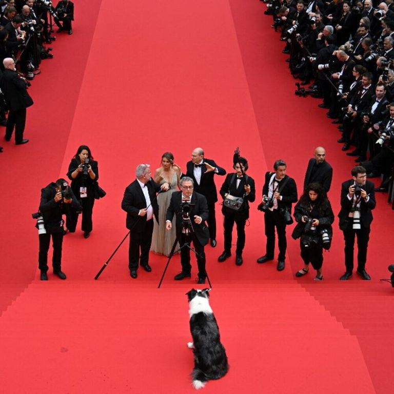 Red carpet Cannes