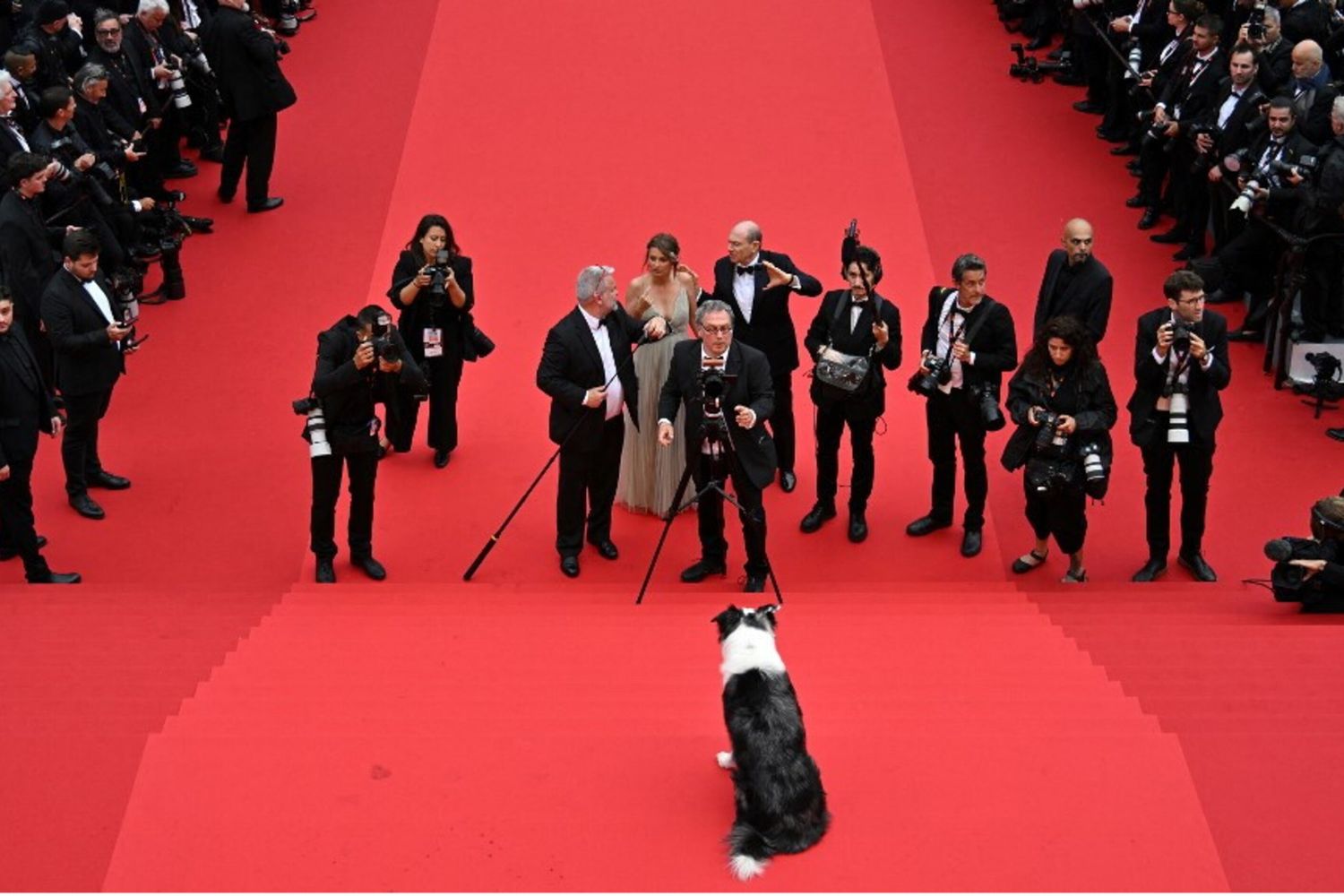 Red carpet Cannes