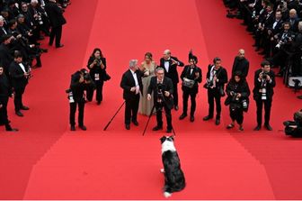 Red carpet Cannes