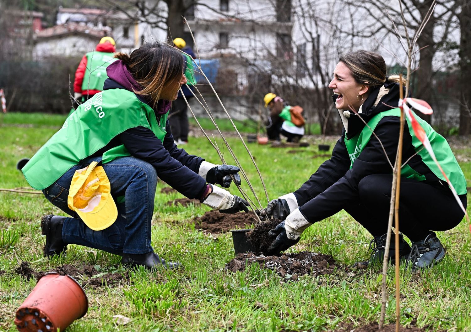 Campagna Mosaico Verde