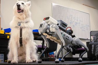 Cane guida e cane guida robotico