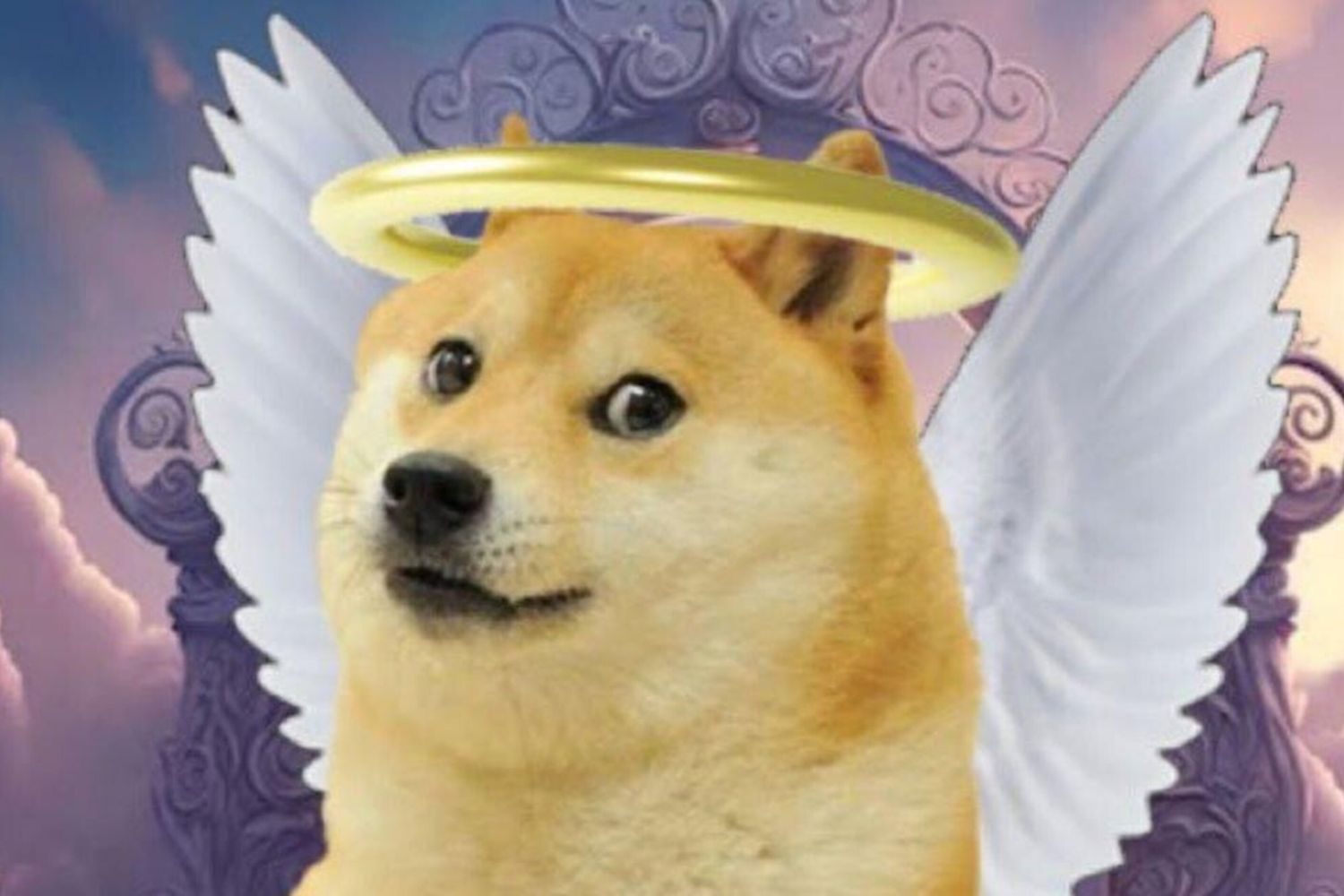 Un meme apparso dopo l'annuncio della morte di Kabosu